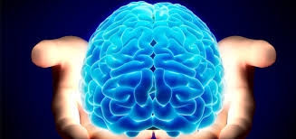 1f29cfca6f705c0cec1c1e27b0c013dd