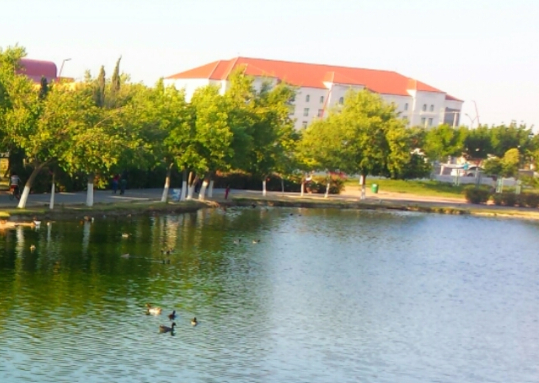 324071832d292b637d0a6b4c641067ac