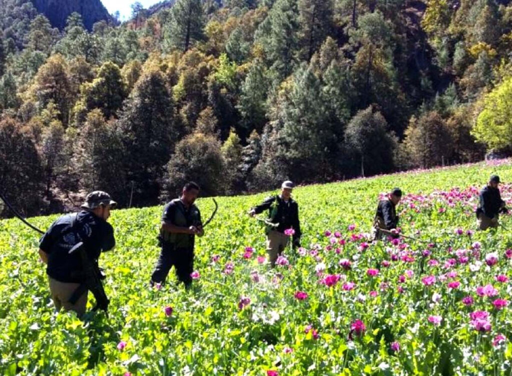 7ca4cd946562f08678700869929c0d76