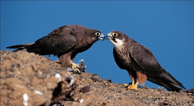 152661b6c4bb7b16bfa11590469991aa