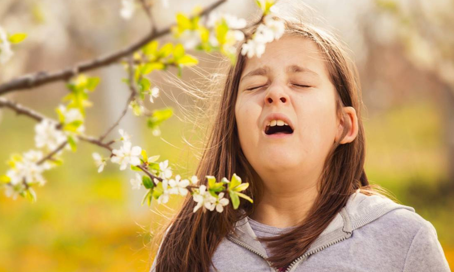 Una alergia mal atendida puede ocasionar severos problema de salud en niños y adultos mayores.
