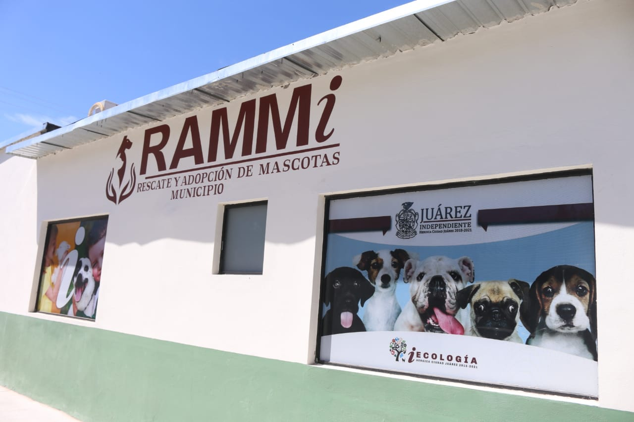 Centro de Rescate y Adopción de Mascotas del Municipio Independiente (RAMMi).