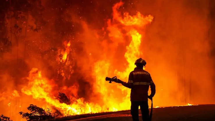 Fd8cabff9f98457c868d42a2c53c8e9a