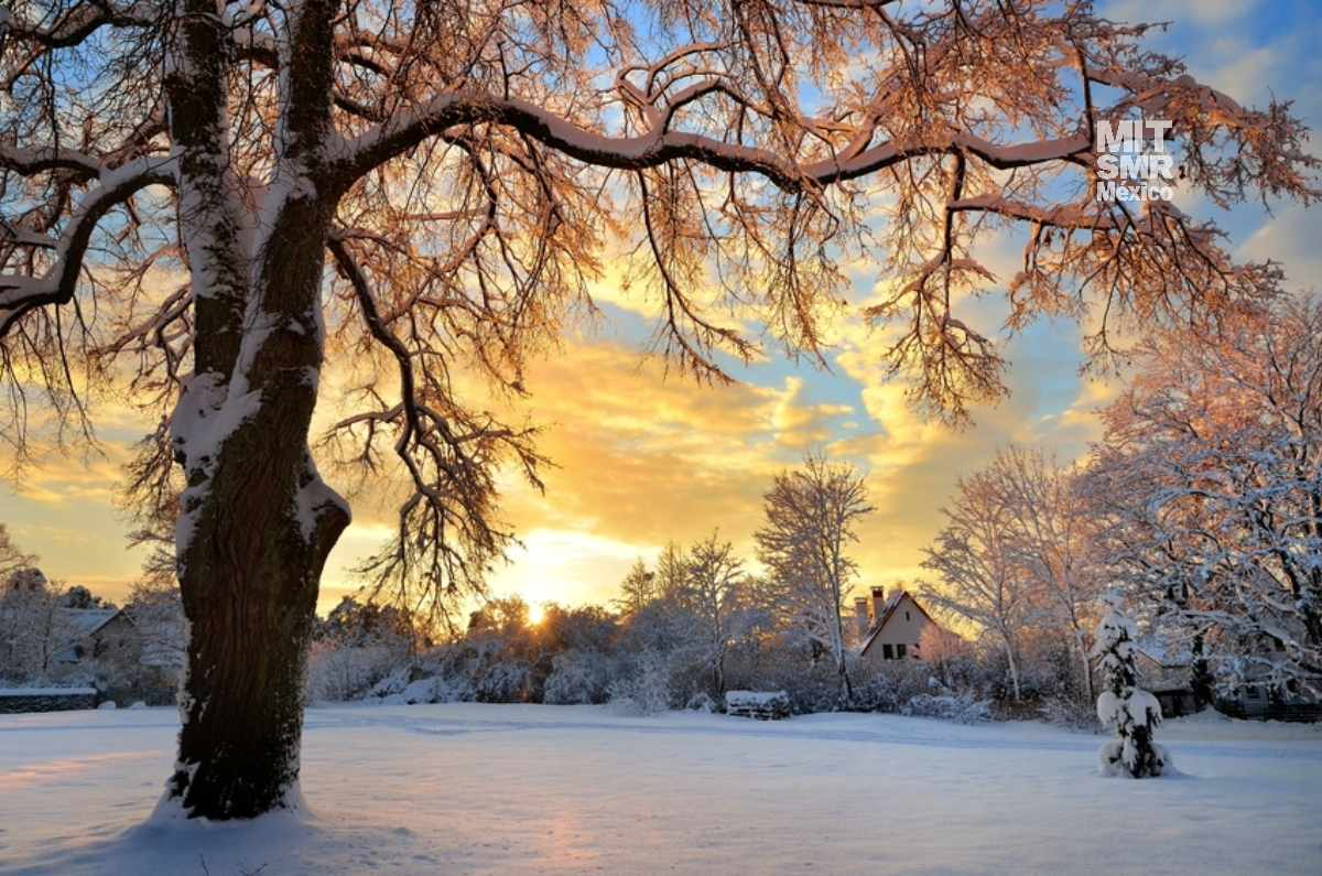 El solsticio de invierno es el día con menos horas de luz solar durante todo el año.