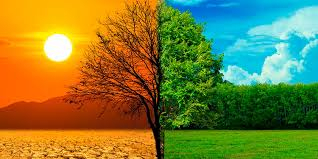 93a4cd43b271694c8635204a943169cc