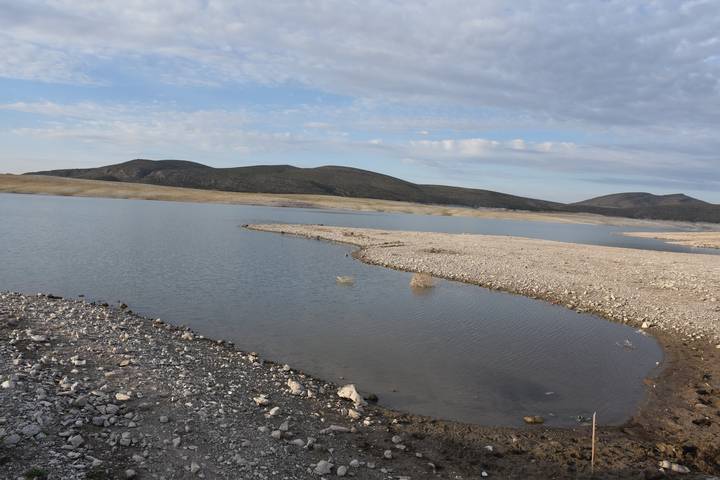 Especies En Peligro Por Falta De Agua En La Boquilla Por La Sequía