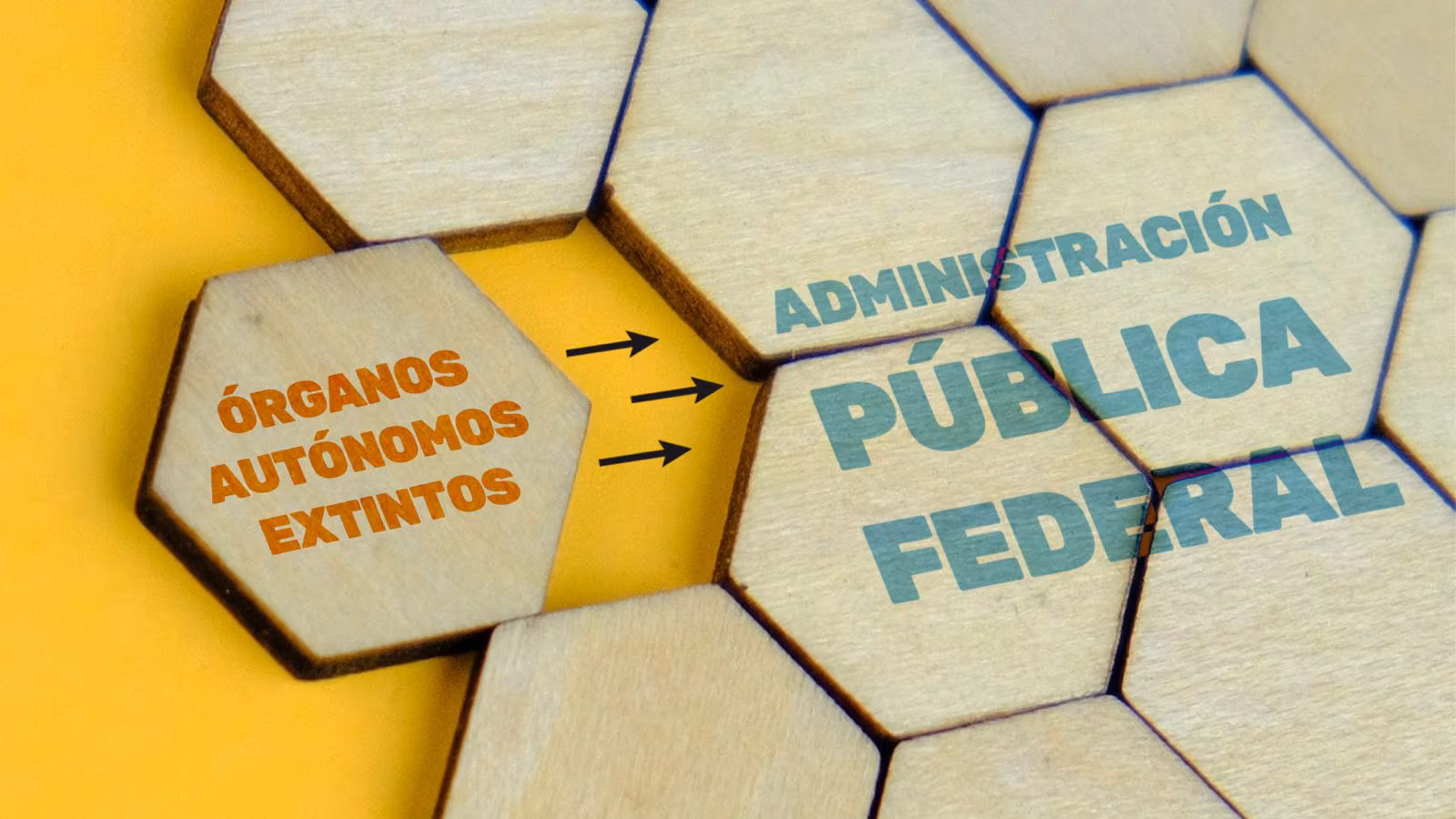 Desaparición De Autónomos Gobierno Federal Absorberá Organismos, Pero Esta Vez Tendrán Menos Recursos