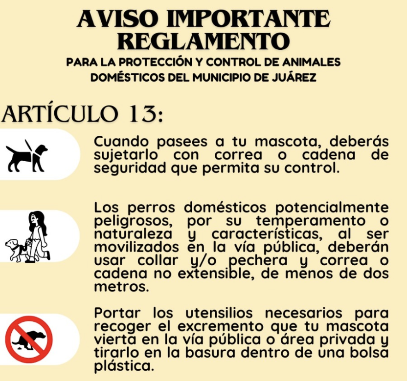 Dan Detalles Del Reglamento De Protección Y Control De Animales Domésticos