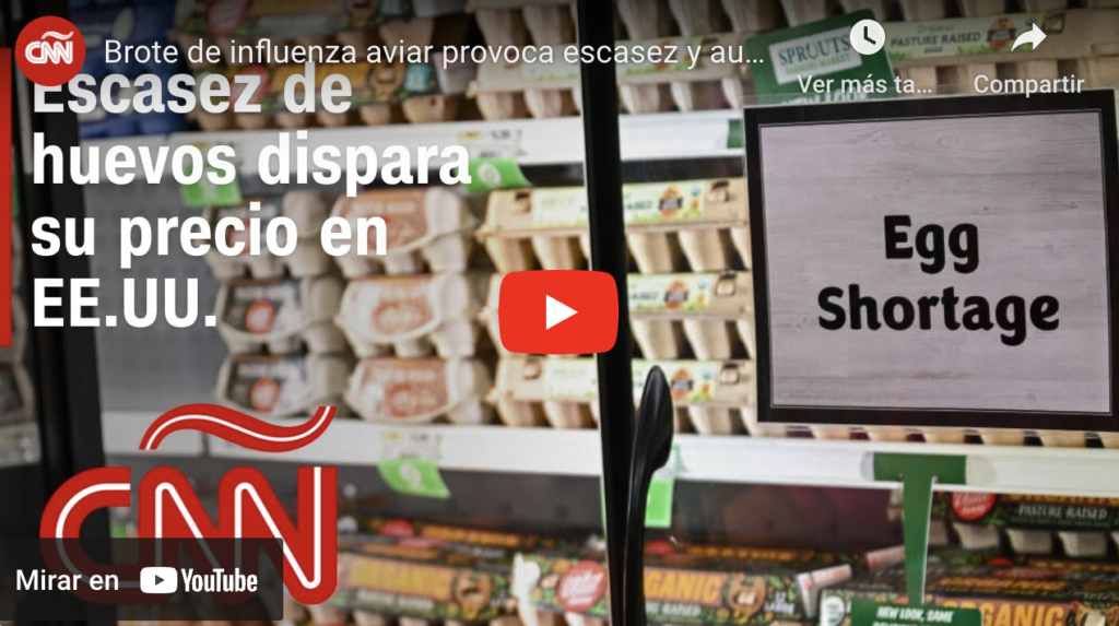 Brote De Influenza Aviar Provoca Escasez Y Aumento En El Precio De Huevos En Eeuu