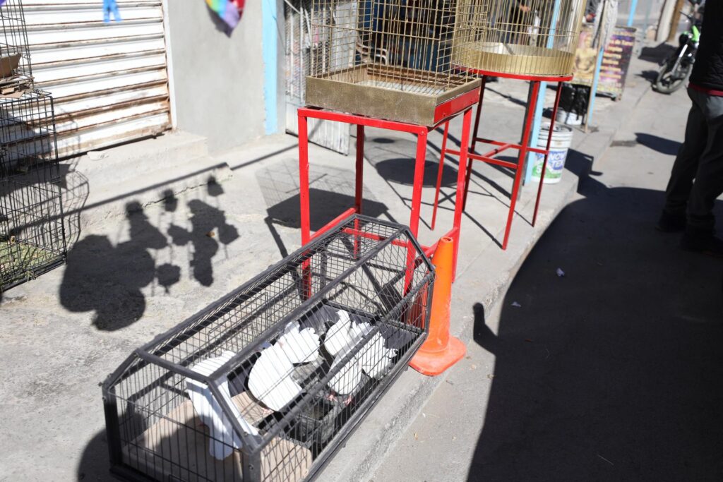 Promueven Dependencias Municipales Regularización De Negocios Con Animales