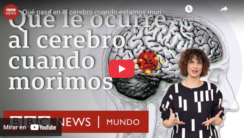 Qué Pasa En El Cerebro Cuando Estamos Muriendo | Bbc Mundo