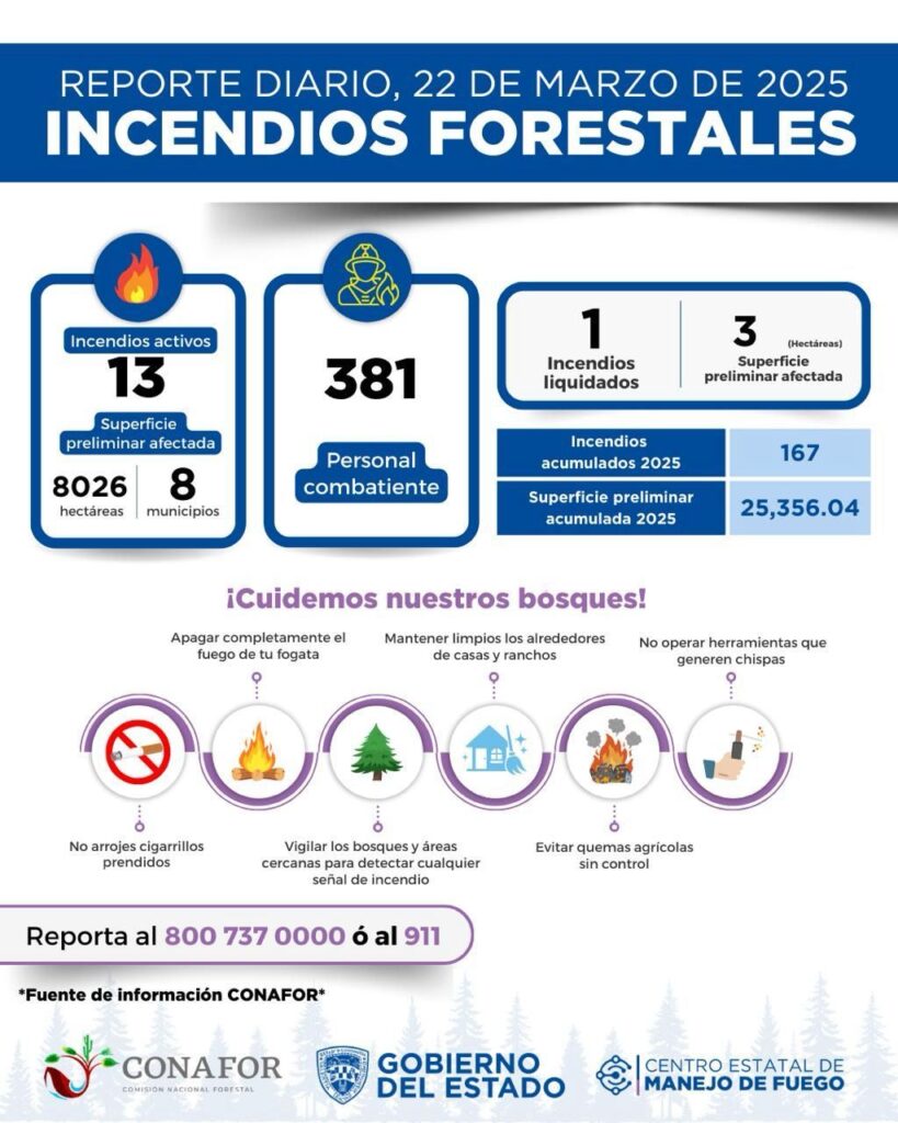 Combaten 381 brigadistas 13 incendios forestales en 8 municipios de chihuahua