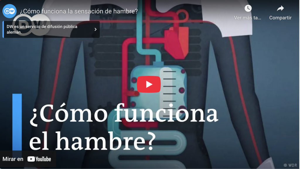 Cómo funciona la sensación de hambre en nuestro cuerpo | dw