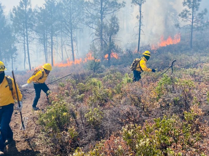 Coordinan esfuerzos contra incendios forestales en 8 municipios de chihuahua