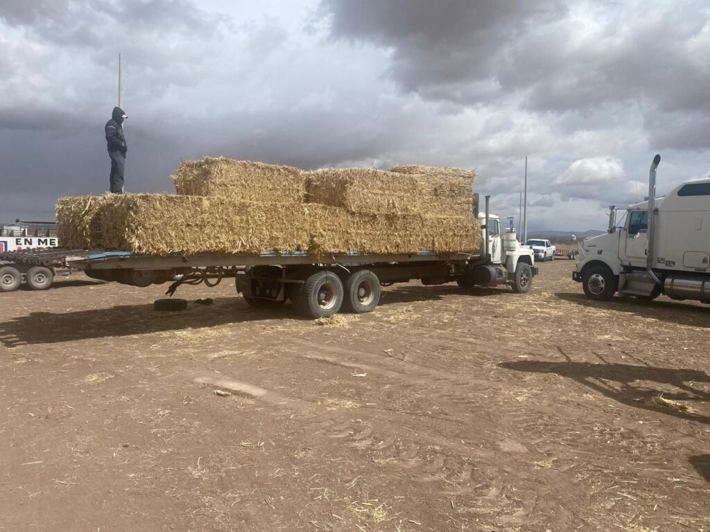 Entregan 232 toneladas de insumos a productores de praxedis g. guerrero
