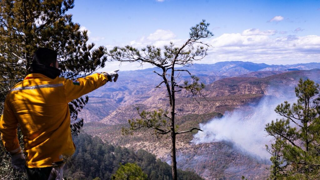 Participan 124 brigadistas en combate a incendios forestales en madera