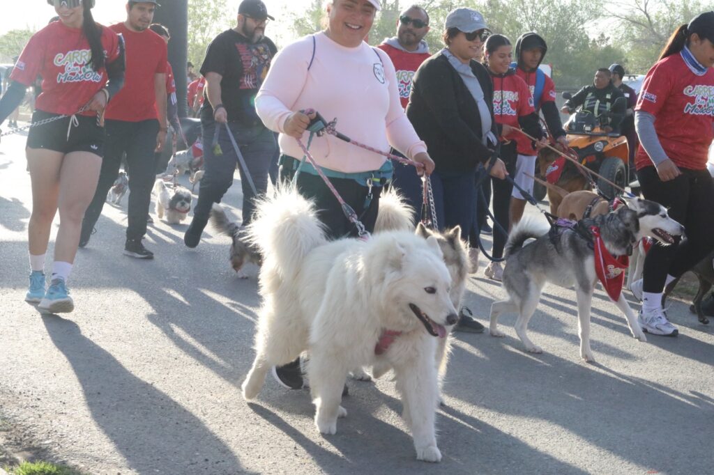 Participaron cerca de 350 perros en segunda carrera con mascotas en juárez