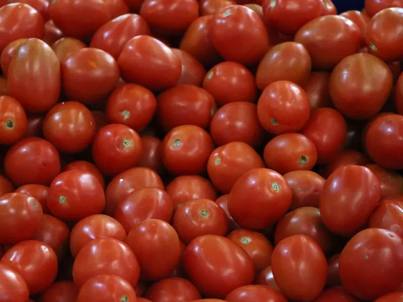 Eu impondrá aranceles del 20.91% a tomates mexicanos a partir del 14 de julio