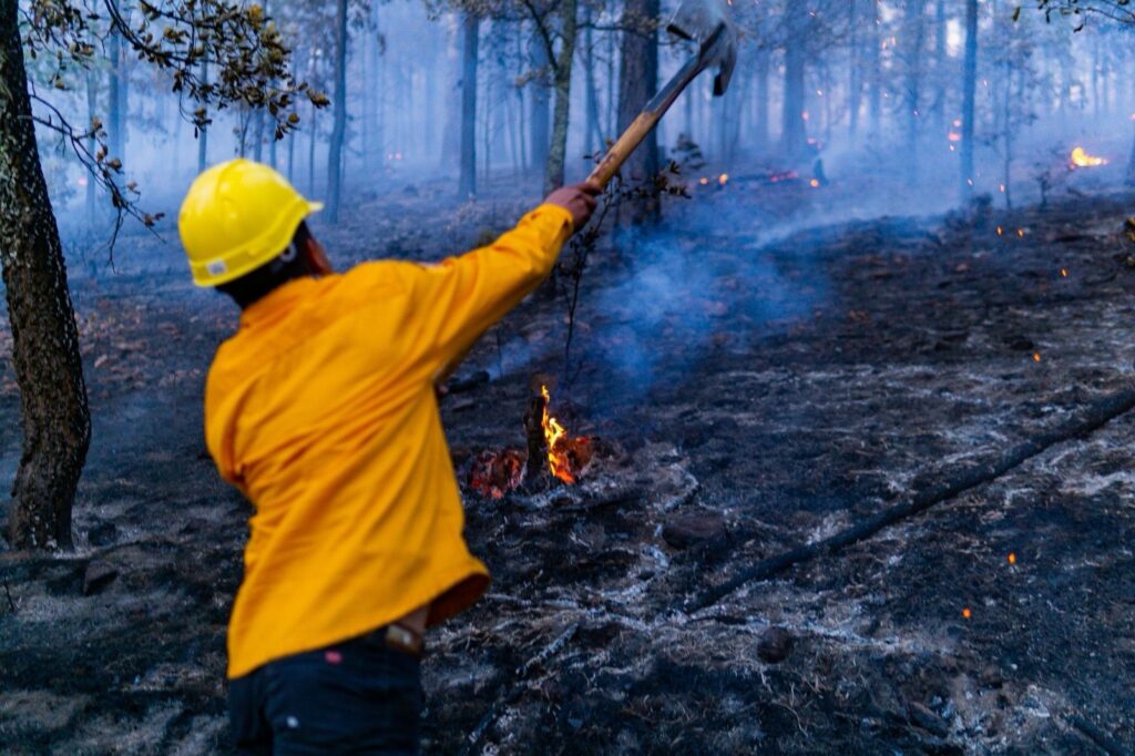 Hay 9 incendios forestales activos en el estado; piden extremar precauciones
