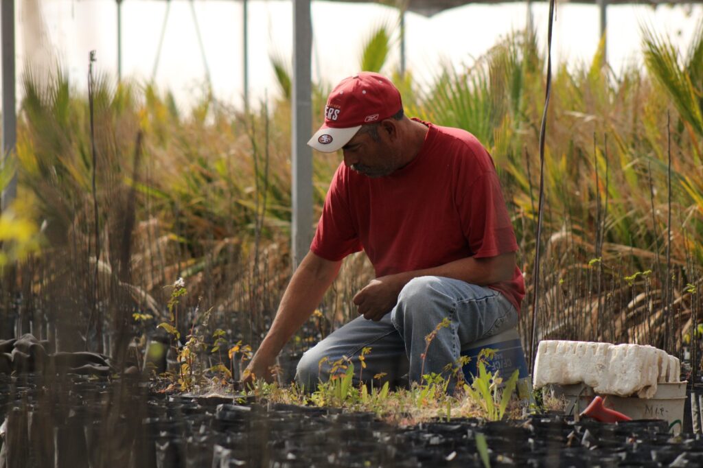 Ofrecen bioinsumos y mejoradores de suelo a productores de chihuahua