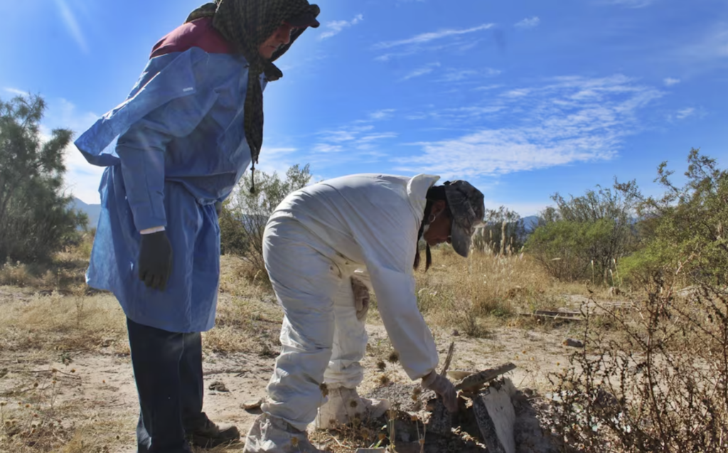 Pri propone reforma para protección de buscadoras; busca que se les reconozca legalmente