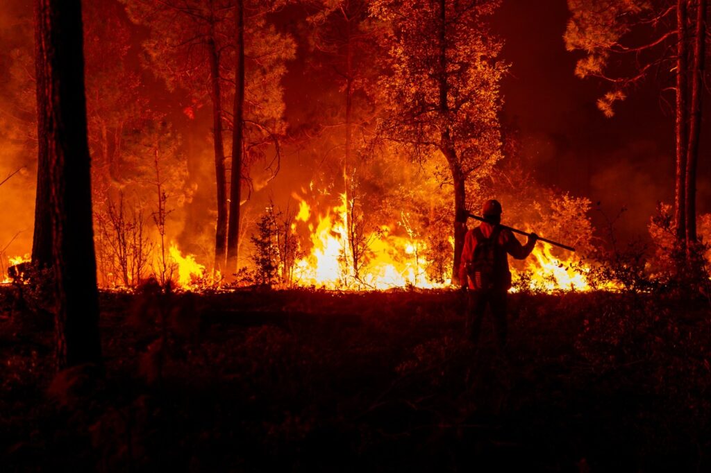 Se han registrado al menos 289 incendios forestales en chihuahua durante 2025
