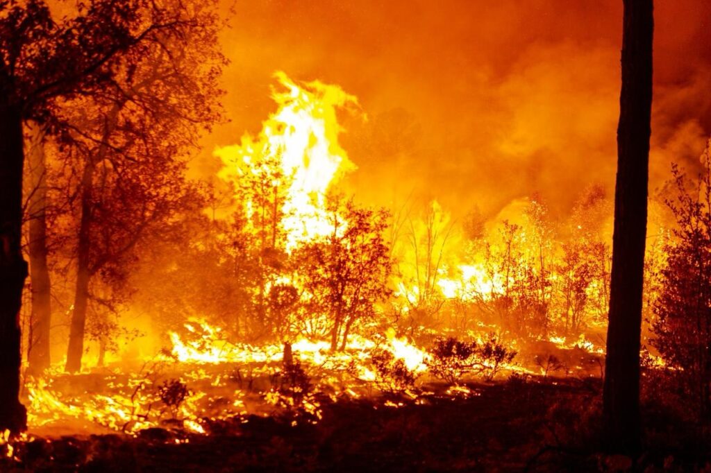 Se suman combatientes vs los 16 incendios forestales activos en chihuahua