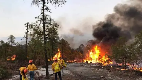 Llegan 30 brigadistas de otros estados a combatir incendios forestales en chihuahua