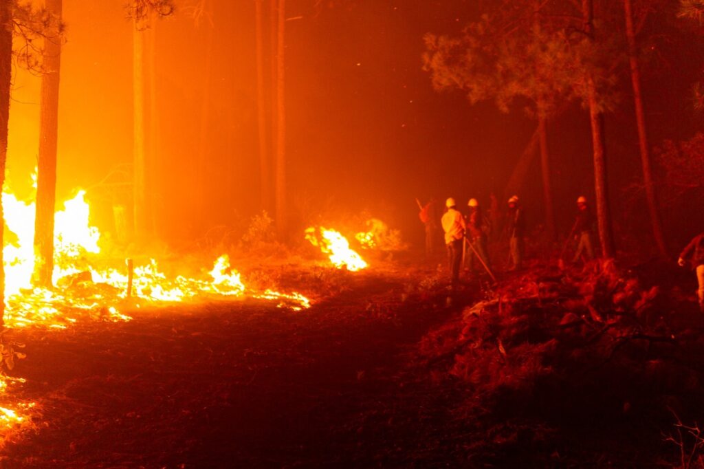 Reporta desarrollo rural 17 mil hectáreas afectadas por los incendios forestales