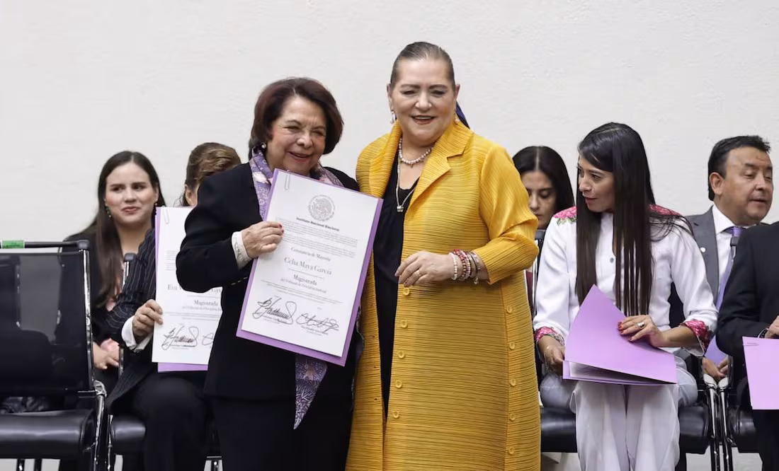 El ine declara la validez de elecciones de tribunales de disciplina judicial y electoral