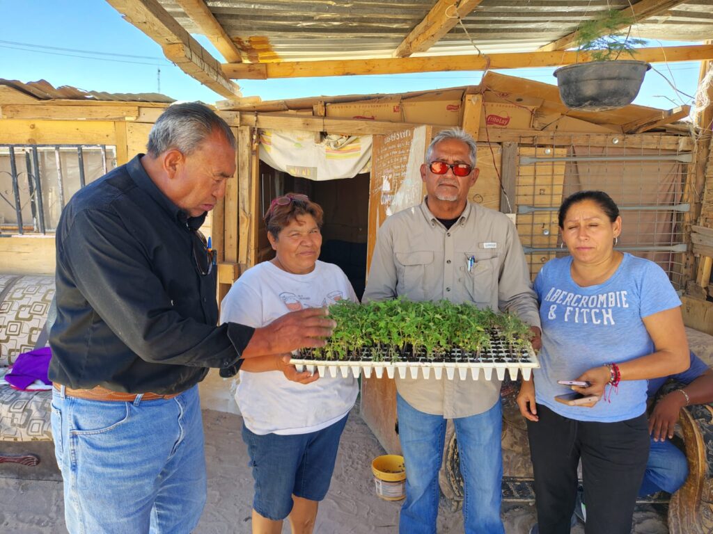 Entrega desarrollo rural semillas para hortalizas y material para riego por goteo