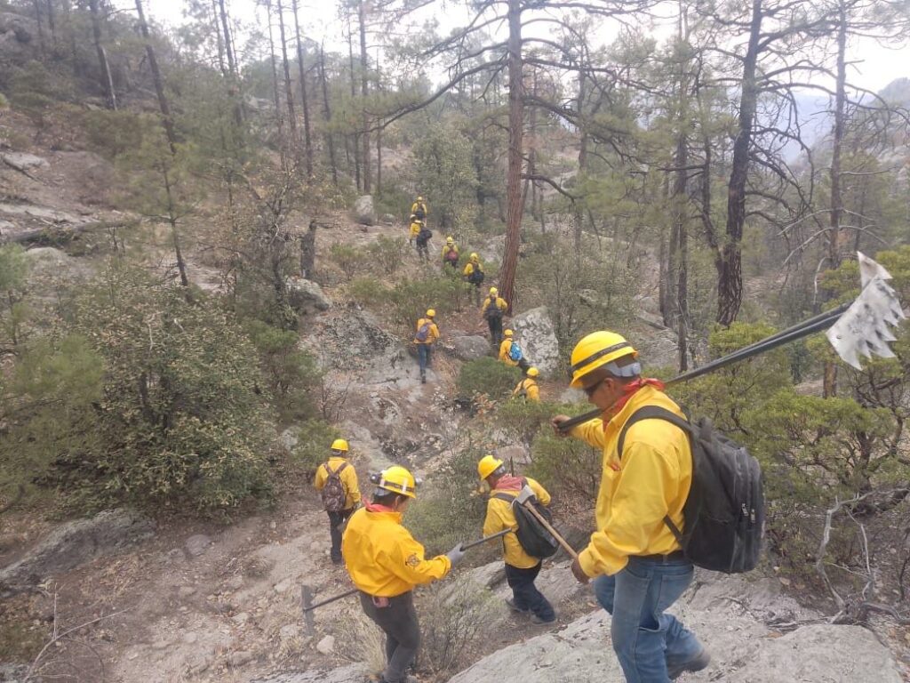 Estado de chihuahua amanece sin incendios forestales activos gracias a las lluvias