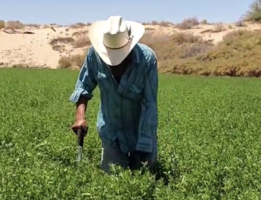 Mantiene desarrollo rural el apoyo a productores locales para mejorar sus tierras