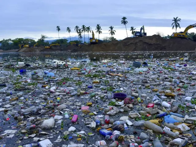 México ahogado en basura; datos que explican la crisis ambiental en el país