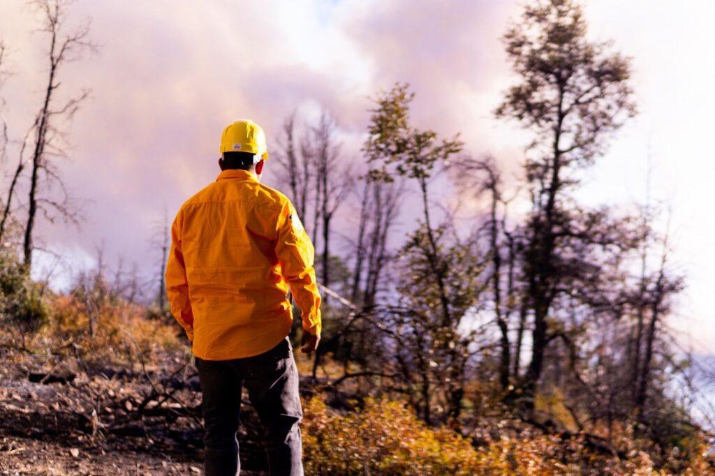 Se han liquidado 500 incendios forestales en el estado de chihuahua durante el 2025
