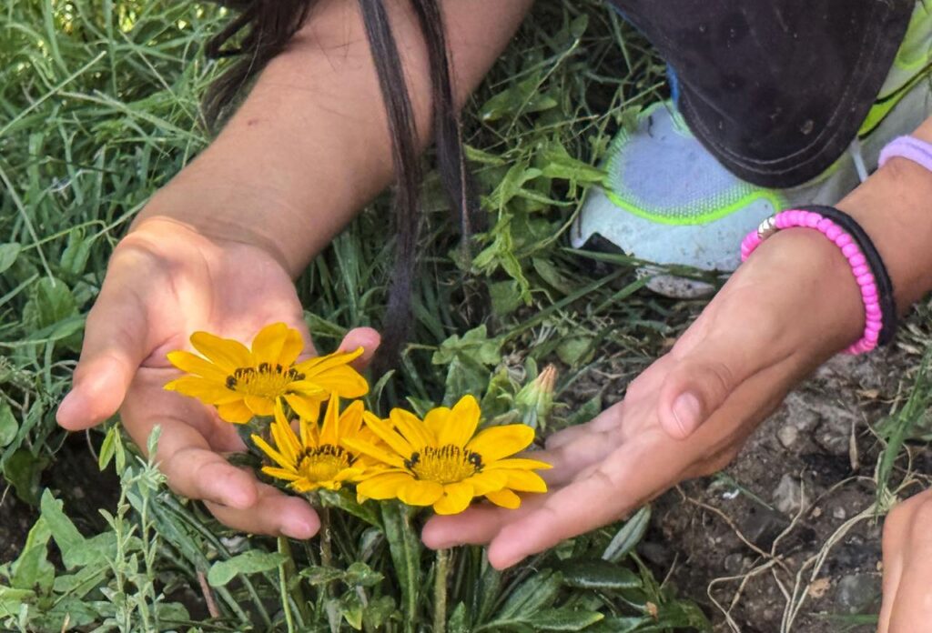 Ya rindió frutos el programa %22cultivando oasis%22 con niñas y niños de riberas del bravo