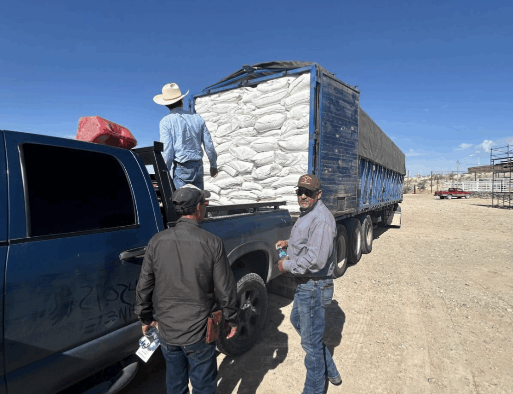 Desarrollo rural del municipio participa en la entrega de más apoyo a ganaderos locales