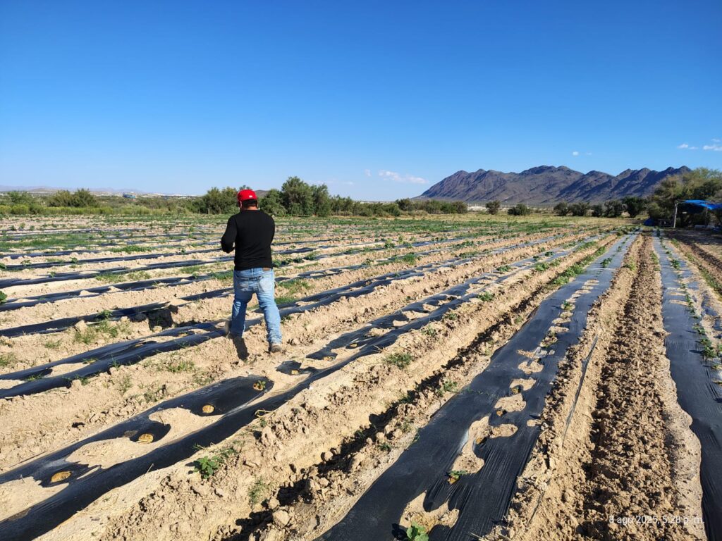 Dirección de desarrollo rural entrega soluciones nutritivas a agricultores de esta región