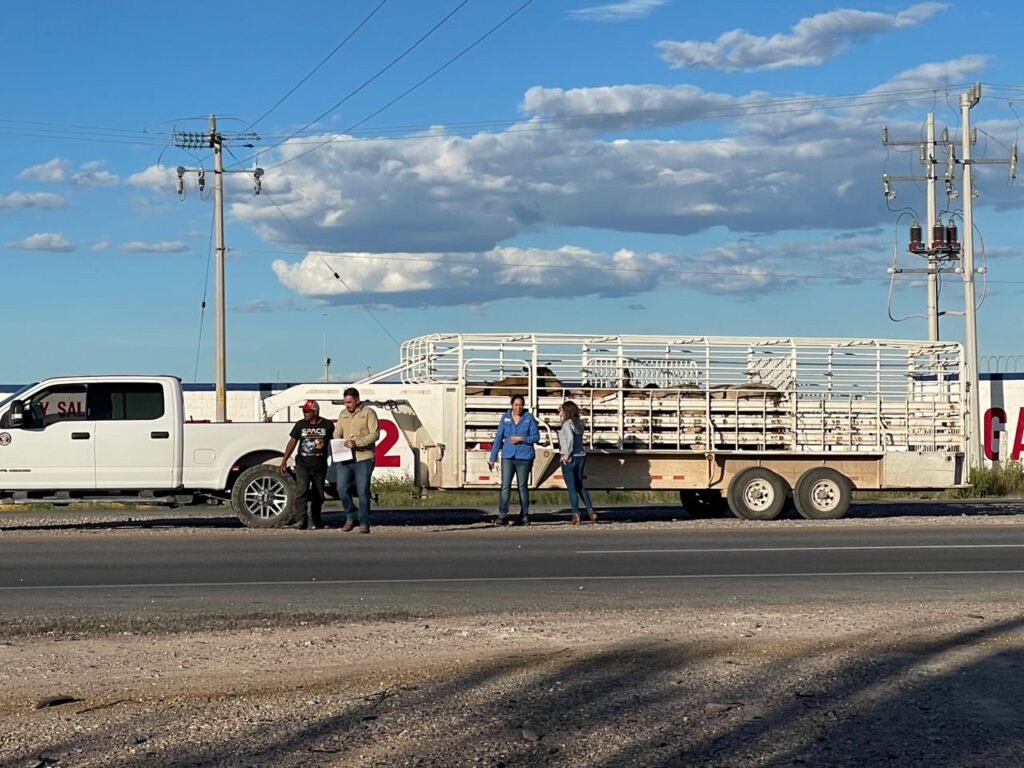 El usda aphis y senasica revisan protocolos sanitarios del ganado en chihuahua