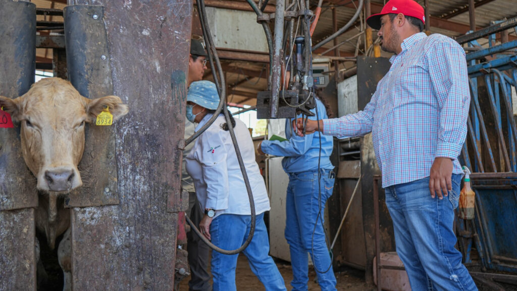 Presenta chihuahua a usda avances en estrategia contra gusano barrenador del ganado