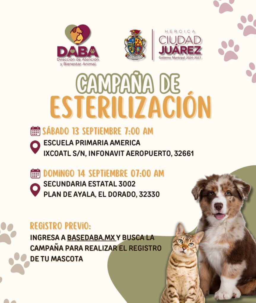 Realizará daba campaña de esterilización gratuita durante este sábado y domingo