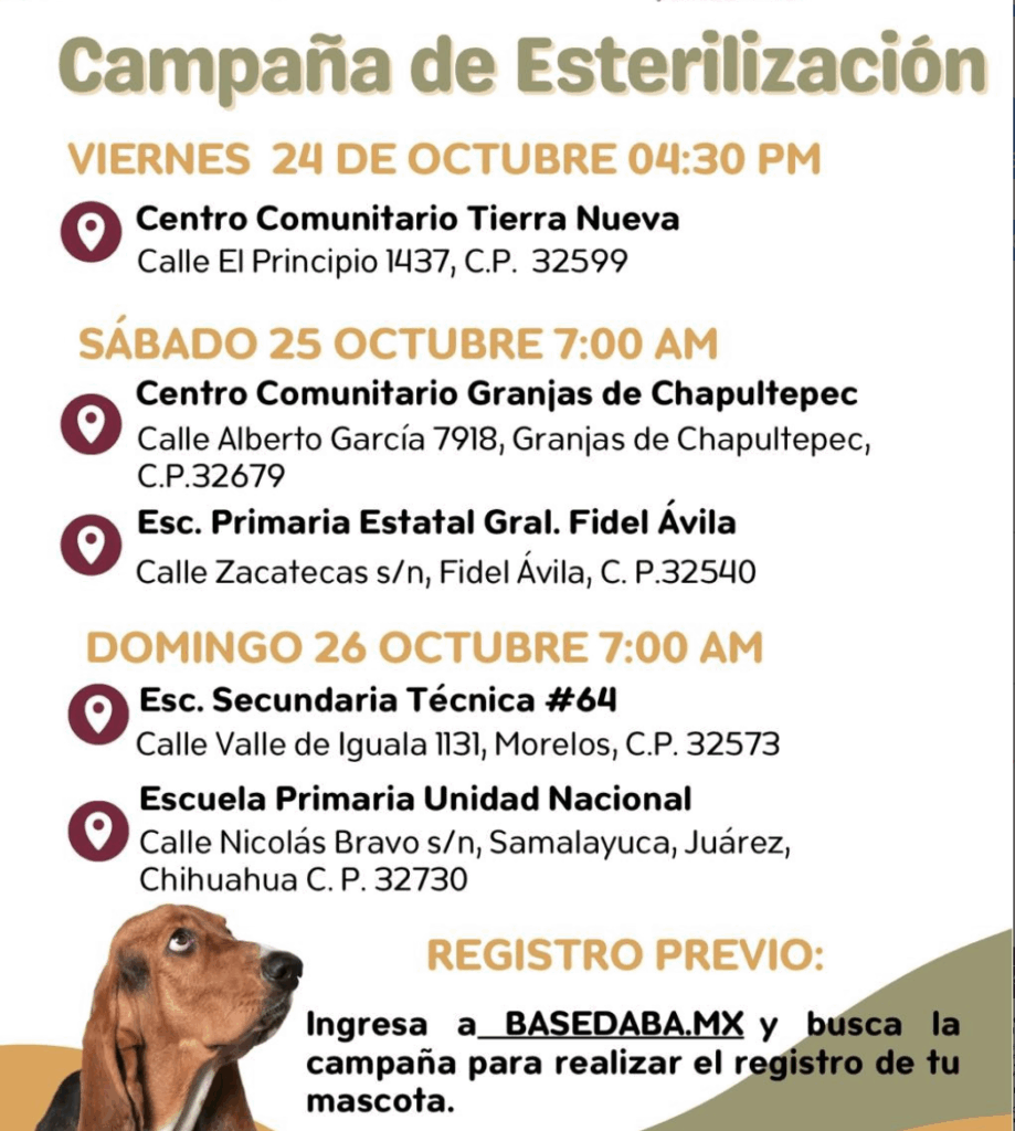 Anuncian esterilización de mascotas este fin de semana en centros comunitarios