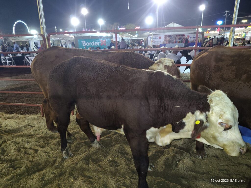 Expone desarrollo rural los programas de apoyo al campo local en la expogan 2025