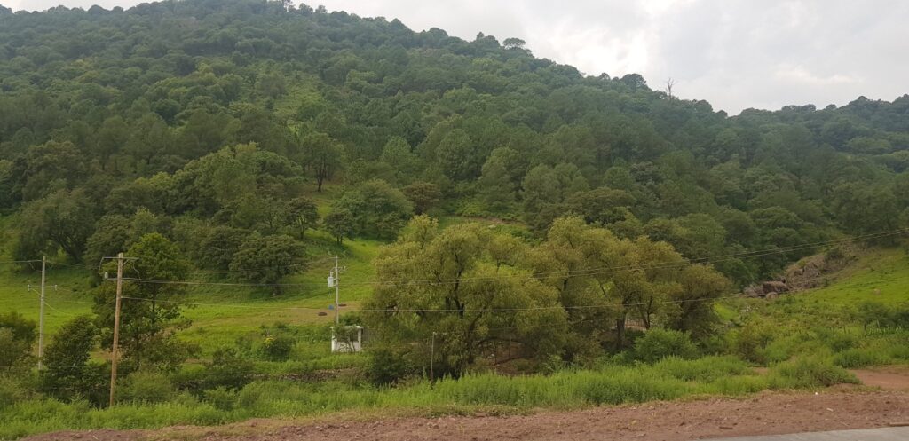 Frentes fríos 8 y 9 provocarán descenso de temperatura en la sierra tarahumara