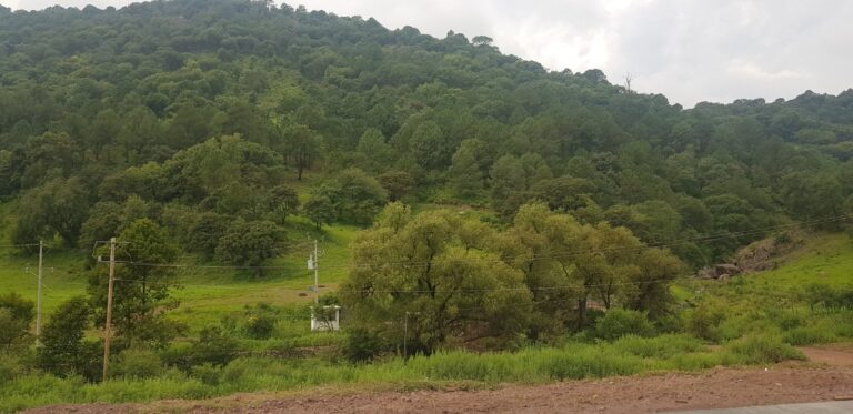 Frentes fríos 8 y 9 provocarán descenso de temperatura en la sierra tarahumara