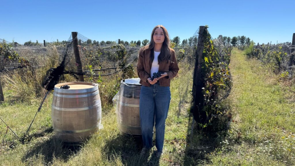 Registran 358 emprendedores al programa para el fomento de los agronegocios