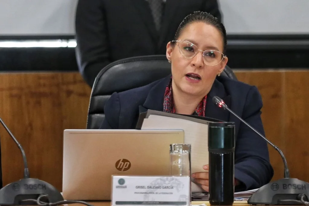 ‘factureras’ evadieron 54 mil 698 mdp en los últimos tres años procuraduría fiscal