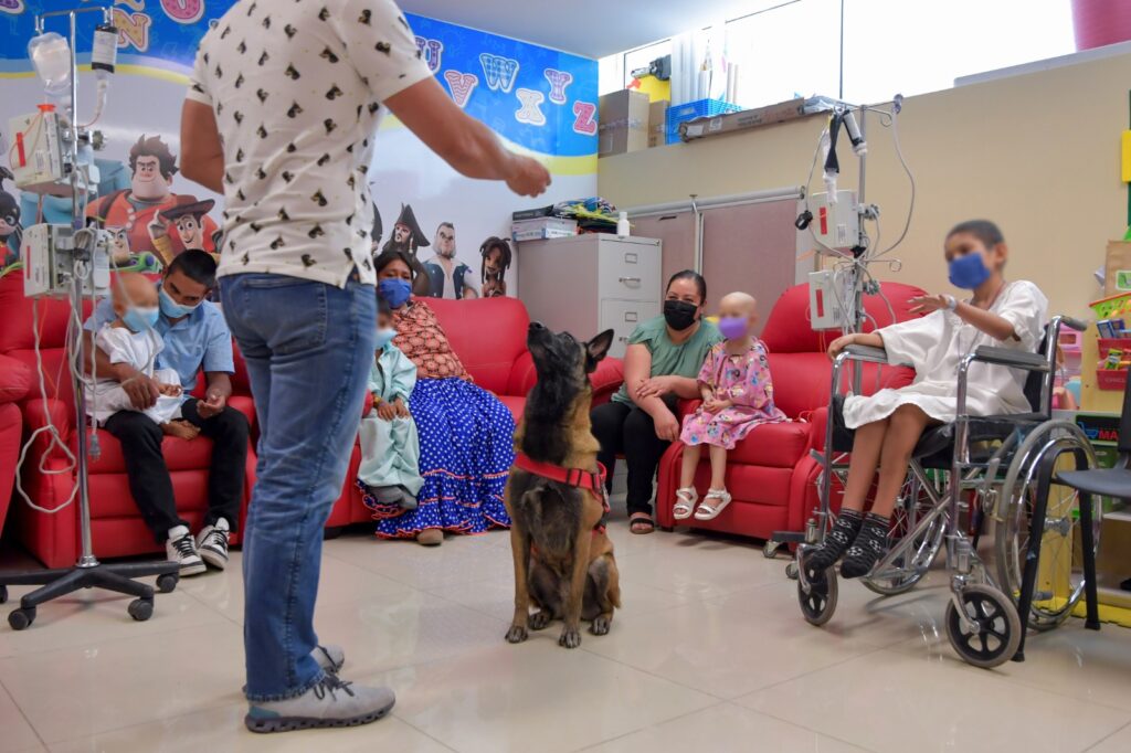 Reciben atención integral pacientes pediátricos con enfermedades crónicas