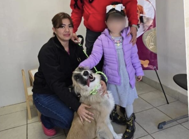 Récord en bienestar animal al entregar 18 mascotas para adopción esta semana