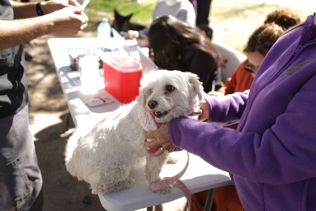Llevó gobierno municipal servicios para mascotas en el parque de la familia